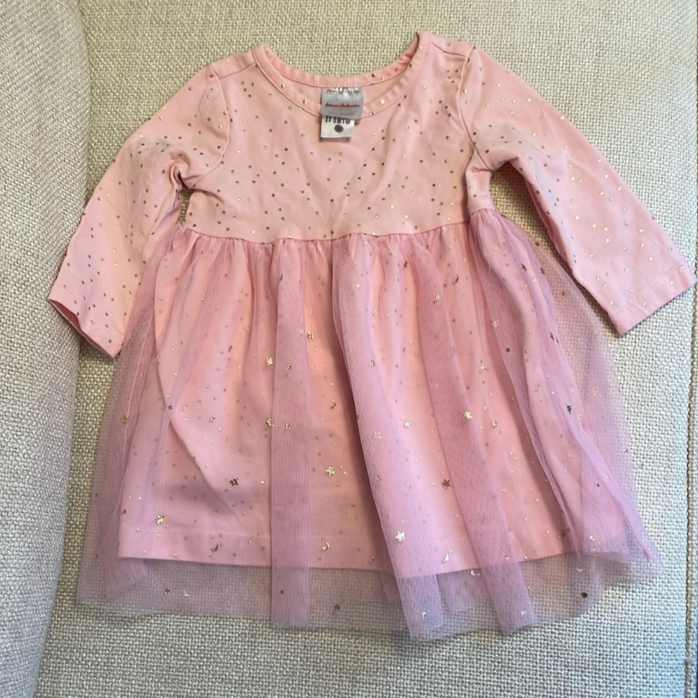 WORN ONCE Hanna Andersson pink tulle dress